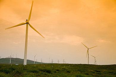 传任天堂两款游戏开发中 代号为“爱德华”和“安娜”